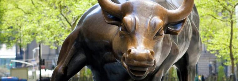 Bull Market
