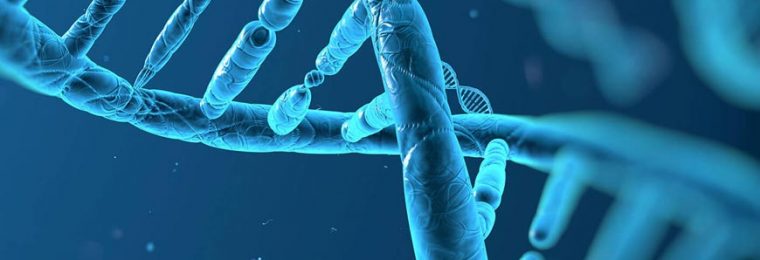 Biotech Stocks